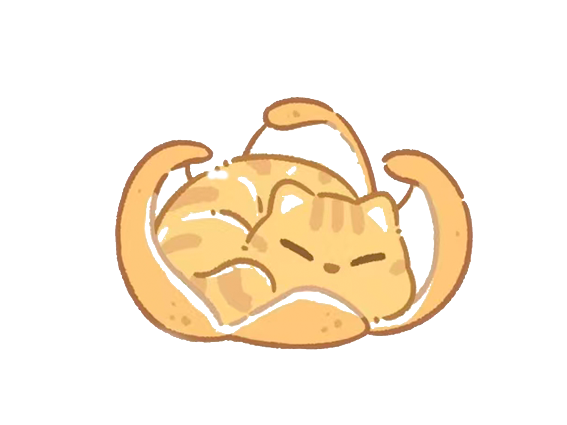 小猫